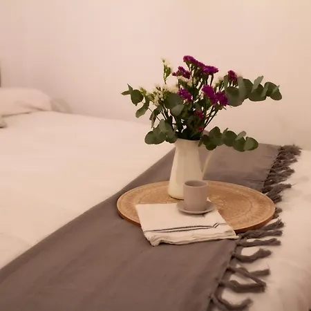 Muralla De Tata * Lugo